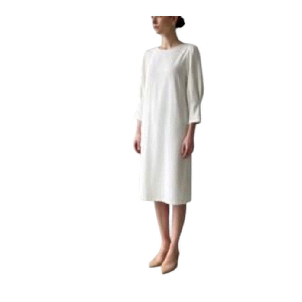 J.McLAUGHLIN Size Small Ivory Long Tapered Sleeve Lined Back Zip Dress Classic